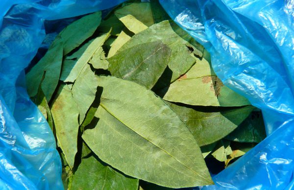 Kuriose Zahlungsmittel Kokain Kolumbien Kuriose Zahlungsmittel Kokain Kolumbien