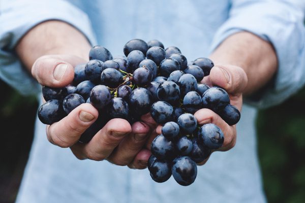 Kuriose Zahlungsmittel Obst England Gefaengnis