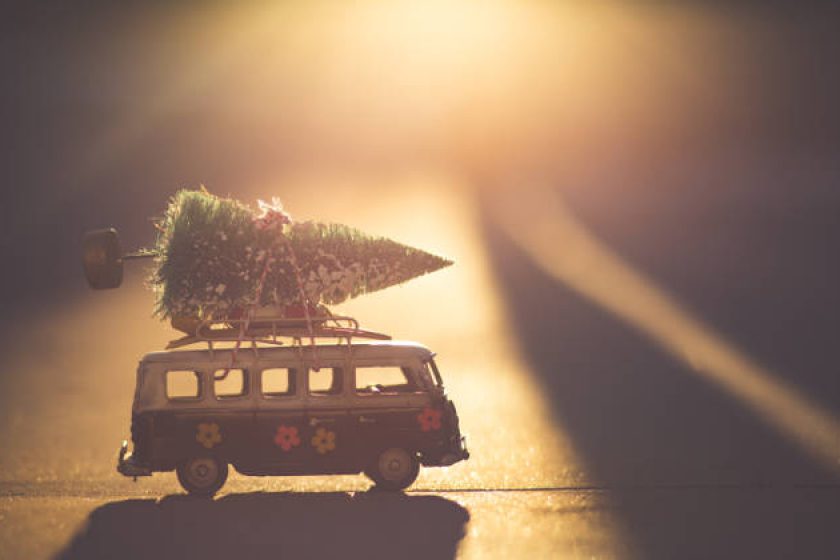 Wer einen Weihnachtsbaum illegal schlägt, muss mit Bußgeldern rechnen.